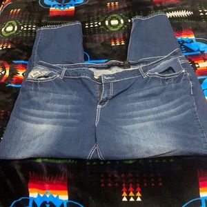 Plus Sized Skinny Jeans